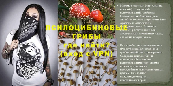 мяу мяу мука Алексин