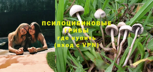 крисы Арсеньев