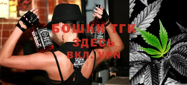 молекула духа Алексеевка
