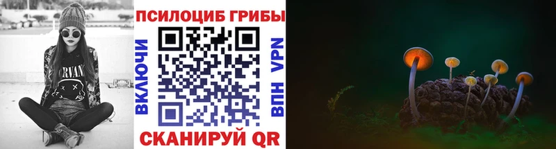 продажа наркотиков  Буй  Галлюциногенные грибы Magic Shrooms 